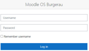 MOODLE OS BURGERAU